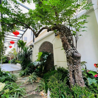Bán Nhanh Liền Kề Duy Nhất Gần Chung Cư Gần Công Viên. Mặt Tiền 6M. Đường Trước Nhà 7M, Chỉ 10 Tỷ