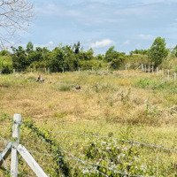 Bán Đất Suối Rao Châu Đức Bà Rịa Vũng Tàu