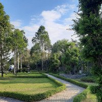Đất Nền Dự Án Đại Phúc Green Villas, 73 Triệu/M2, 100 M2 Ở Phạm Hùng, Bình Chánh, Tp.hcm