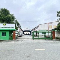 Cho Thuê Kho Dịch Vụ Diện Tích Linh Hoạt Giá Cạnh Tranh