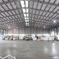 Cho Thuê Kho Dịch Vụ Diện Tích Linh Hoạt Giá Cạnh Tranh