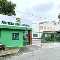Cho Thuê Kho Dịch Vụ Diện Tích Linh Hoạt Giá Cạnh Tranh