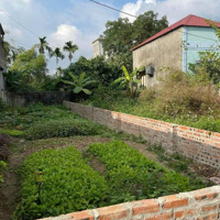 Bán Lô Đất 80.5 M Xích Thố An Dương Hải Phòng