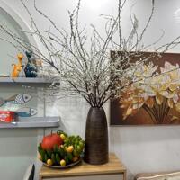 Bán chung cư Green Home Phương Đông-lô CT8C kdt Việt Hưng-Long Biên-80m 3n2wc-full đồ-giá 5 tỷ