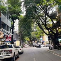 Chính Chủ Cho Thuê Nhà Liền Kề Số 15A Ngõ 60 Vũ Phạm Hàm, Diện Tích: 105M2 X 5T Mt: 5,5M