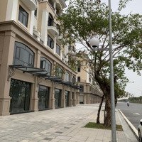 Hàng Hiếm Shophouse Đại Lộ Ngọc Trai Có Đủ Chính Sách, Giá Theo Chủ Đầu Tư