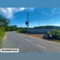 Bán 1000M2 Đất Sào Tân Hòa, Mặt Tiền Đường Nhựa 32M, Đất Đã Phủ Hồng Giá 490 Triệu