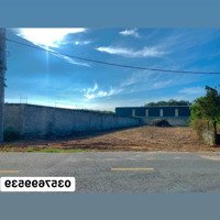 Bán 1000M2 Đất Sào Tân Hòa, Mặt Tiền Đường Nhựa 32M, Đất Đã Phủ Hồng Giá 490 Triệu
