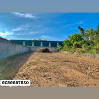 Bán 1000M2 Đất Sào Tân Hòa, Mặt Tiền Đường Nhựa 32M, Đất Đã Phủ Hồng Giá 490 Triệu