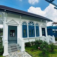 Cho Thuê Nhà Vườn 600M2 Cù Lao Phố P.hiệp Hoà