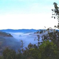 Chính Chủ Cần Bán Căn Nhà Đất Thổ Cư, Hẻm Ô Tô Tại Tpđà Lạt