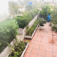 Bán Căn Hộ 2 Phòng Ngủchung Cư Le Grand Jardin Sài Đồng Tặng Kèm Vườn Rau Gần 40M2