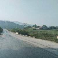 Cần Bán Gấp 230 M2 Sát Đường Kết Nối Khu Công Nghiệp Nhuận Trạch, Lương Sơn, Hoà Bình Lô Góc