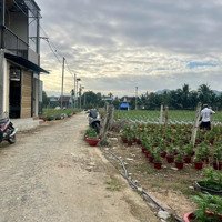 Bán Đất Ngay Trung Tâm Diên Khánh, Khánh Hòa