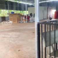 Bán Vườn Sầu Tơ Có Thổ Giáp Đường Ql56 Xã Hàng Gòn Tplk Đồng Nai