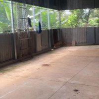 Bán Vườn Sầu Tơ Có Thổ Giáp Đường Ql56 Xã Hàng Gòn Tplk Đồng Nai