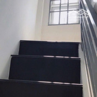Bán Nhà Riêng 3 Phòng Ngủ 3 Vệ Sinh 2,95 Tỷ, 18M2, Ở Phú Trung, Tân Phú, Hcm, Ngõ Ô Tô.