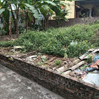 Bán Đất Đa Tốn Gia Lâm 48M Giá Bán 2.9 Tỷ