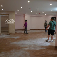 Cho Thuê Nhà Mp Tràng Thi,Diện Tích100M X 3 Tầng 1 Hầm,Mặt Tiền15M, Thông Sàn, Thang Máy, Riêng Biệt, 100 Tr