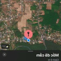 Bán Đất Nền 698M2 Tại Ấp 2, Xã Thiện Hưng, Bù Đốp, Bình Phước Giá Siêu Hời 1,3 Tỷ