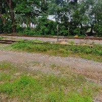 Bán Đất Tại Quốc Lộ 1A, Tô Hiệu, Thường Tín, Hà Nội Chỉ Với Giá Ưu Đãi 1 Tỷ, 46M2