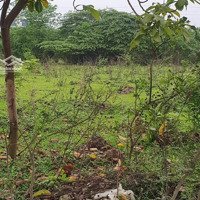 Đất Làm Kho Xưởng - Sát Đê - Ô Tô Tải Vào -Mặt Tiềnsiêu Rộng 30M Sổ Vuông Vắn.