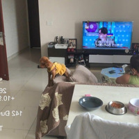 Chính Chủ Cho Thuê Căn Hộ Sunrise Becamex 2 Phòng Ngủ