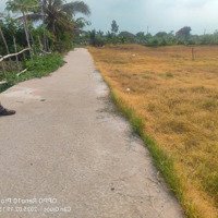 Bán Đất Tại Xã Phước Hậu, Cần Giuộc, Long An, 520 Triệu, 110 M2 ,Shr 0943 925 770