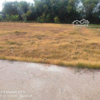 Bán Đất Tại Xã Phước Hậu, Cần Giuộc, Long An, 520 Triệu, 110 M2 ,Shr 0943 925 770