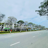 Chính Chủ Cần Cho Thuê Dài Lâu Shophouse 3 Mặt Tiền Đường Nguyễn Sinh Sắc Quận Liên Chiểu , Đà Nẵng