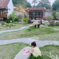 Chính Chủ Bán Nhà Vườn Khu Đông Dân Cư, Đầy Đủ Tiện Ích, Cho Thuê Nghỉ Dưỡng, Giá Nhỉnh 7 Tỷ