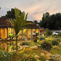 Chính Chủ Bán Nhà Vườn Khu Đông Dân Cư, Đầy Đủ Tiện Ích, Cho Thuê Nghỉ Dưỡng, Giá Nhỉnh 7 Tỷ