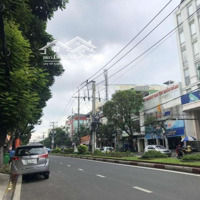 Chủ Ngộp Cần Bán Gấp! Nhà Mặt Tiền Bàu Cát Đôi (6,5 X 20M), 5 Tầng, Hdt 100 Triệu - Giá Chỉ 26 Tỷ