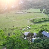 Bán Nhanh Lô Đất View Đẹp Giá Tốt Tại Thôn Liên Minh, Đảo Cát Bà Phù Hợp Xây Dựng Homestay Du Lịch