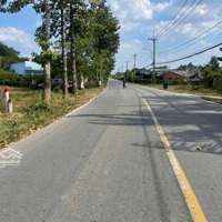Bán Đất Giá Rẻ, 1010M2 Khu Vực Tân Lợi Sát Bên Đường Tạo Lực 65M Giá Bán 245 Triệuiệu Chính Chủ