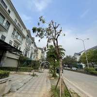 Cho Thuê Văn Phòng, Mbkd Khu Đô Thị Dương Nội - Gần Aeon Mall Hà Đông - Chỉ Từ 9 Triệu