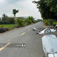 Chính Chủ Cần Bán Gấp Đất Nền Gần Vòng Xoay An Thạnh, Xã An Thạnh, Bến Lức, 425 Triệu/ 80M2 Có Shr