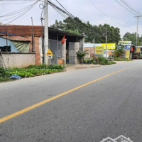 Bán Đất Mtd Bông Văn Dĩa, Tân Kiên, Bình Chánh. Cách Kcn Tân Tạo 200M. 865 Triệu/85M2.Shr, Full Thổ