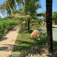 Bán Trang Trại Nghĩ Dưỡng - Farm Diên Thọ Đã Trang Bị Đầy Đủ Vườn - Ao - Chuồng