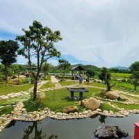 Bán Trang Trại Nghĩ Dưỡng - Farm Diên Thọ Đã Trang Bị Đầy Đủ Vườn - Ao - Chuồng