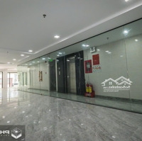 Bán Nhàmặt Tiềnbạch Đằng ,P2,Q.tân Bình Dt:7X28M2 Cn:188M2, Hầm 6 Tầng Bán 95 Tỷ