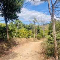 Bán 1000M2 View Hồ..quy Hoạch Thổ Cư Tại Đăk Hà-Kon Tum Giá Chỉ 239 Triệu