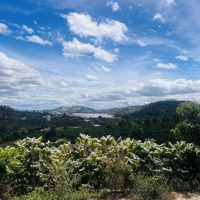Bán 1000M2 View Hồ..quy Hoạch Thổ Cư Tại Đăk Hà-Kon Tum Giá Chỉ 239 Triệu