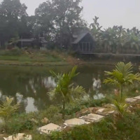 Đất Thổ Cư Hòa Thạch- Quốc Oai Diện Tích 100M2 Full Thổ Cư - View Đẹp Thoáng Vị Trí Đắc Địa Đẹp