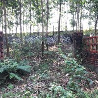 Bán Đất Cự Yên- Lương Sơn- Hoà Bình