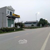 Bán Lô Đất Mặt Đường Tl309 Vị Trí Đẹp, Kinh Doanh Đỉnh Hoàng Hoa , Tam Dương
