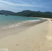 Bán Sỉ 12 Lô Tdc Bãi Bàng Sát Biển Ninh Vân Cực Đẹp, Giá Bao Lợi Nhuận