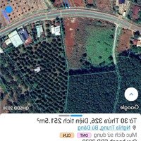 Siêu Ngộp Chủ Đang Vay Ngân Hàng 500T Giá Bán Trong Tuần Có 580T Thôi Ạ Phải Rất Nhanh Mới Kịp Ạ