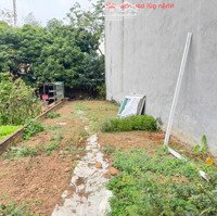 Chính Chủ Bán Đất View Đồng Đẹp Mặt Tiền Kinh Doanh Tt Hợp Châu, Tam Đảo, Vĩnh Phúc