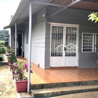 Bán Nhà Riêng Tại Đt 725, Tà Nung, Đà Lạt, 6,5 Tỷ, 510M2 Giá Siêu Hời Uy Tín